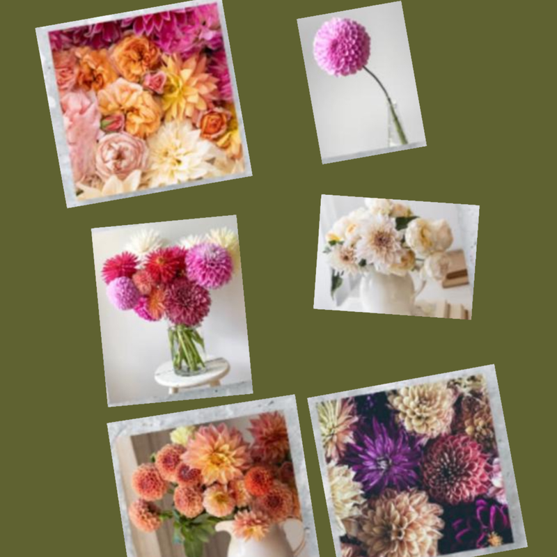 Hugobloom Floral Card
