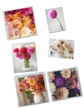 Hugobloom Floral Card