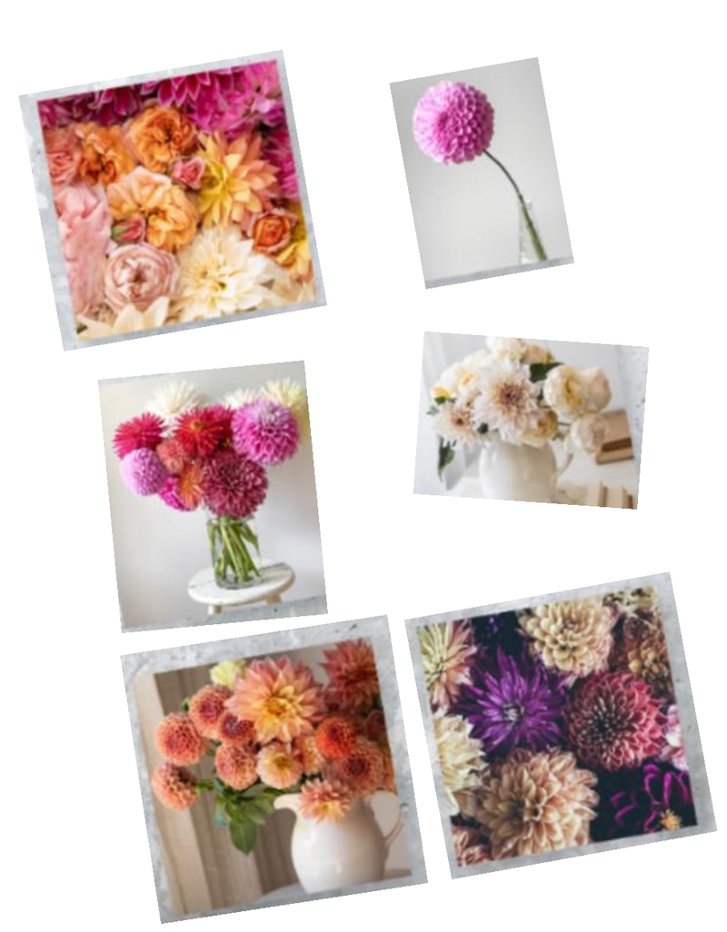 Hugobloom Floral Card